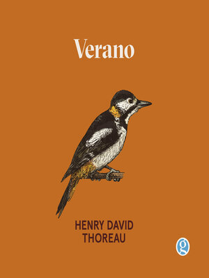 cover image of Verano